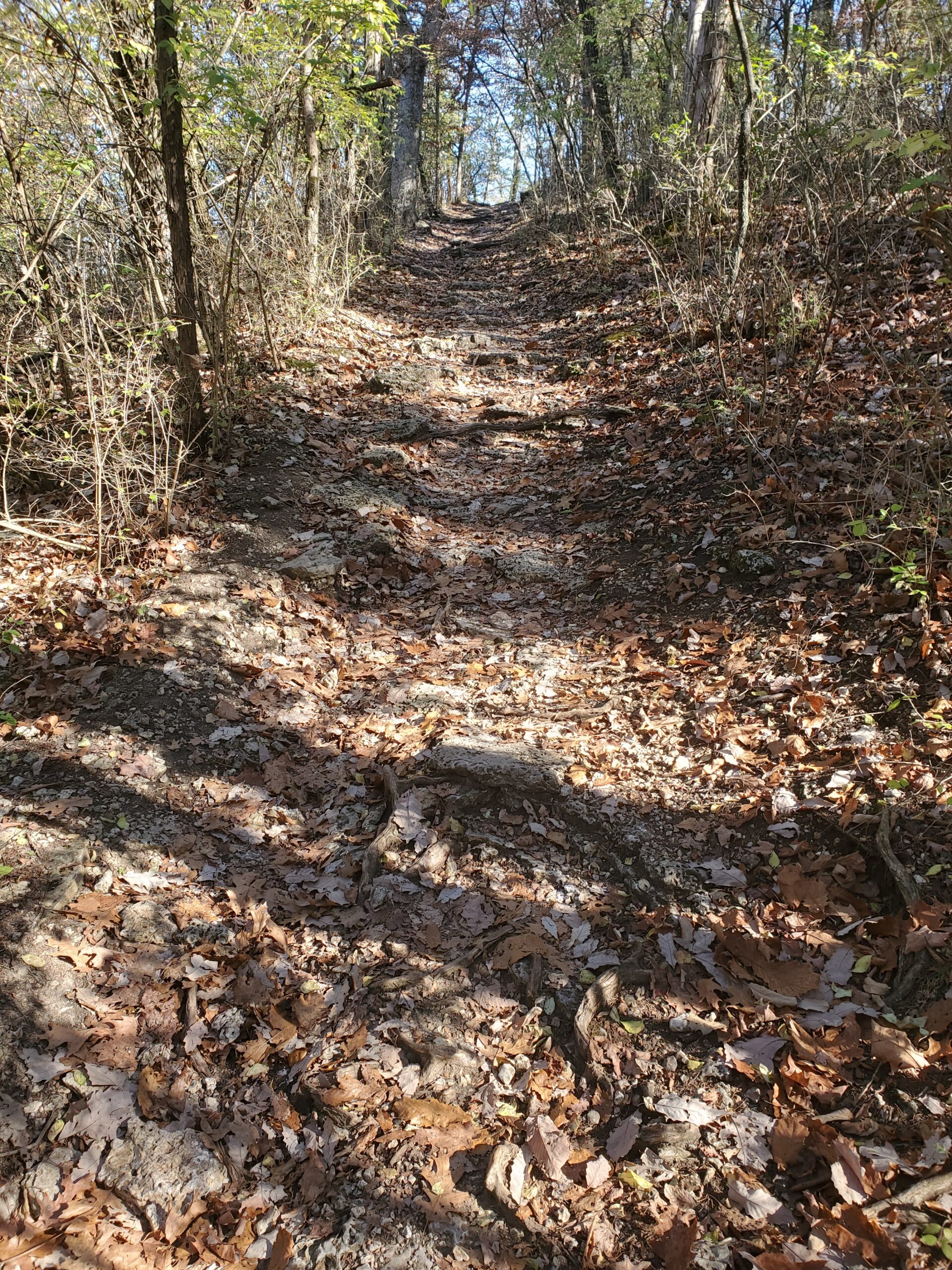 part-of-the-1200-feet-ascent-in-West-Tyson-Park-on-the-chubb-trail