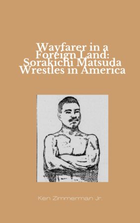 wayfarer-in-a-foreign-land-cover